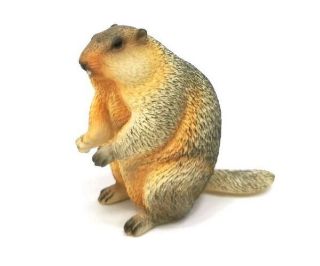 Obrázek z Figurka Svišť 6,5cm 